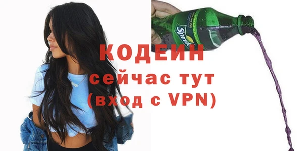 спиды Няндома