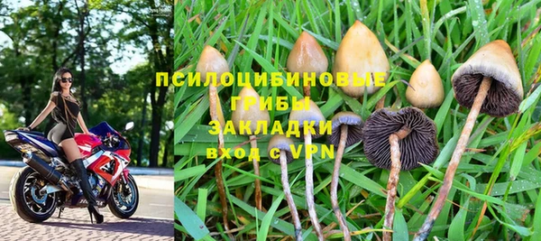 стафф Балахна