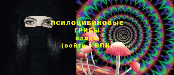 стафф Балахна