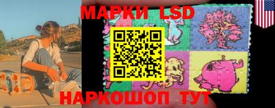 стафф Партизанск