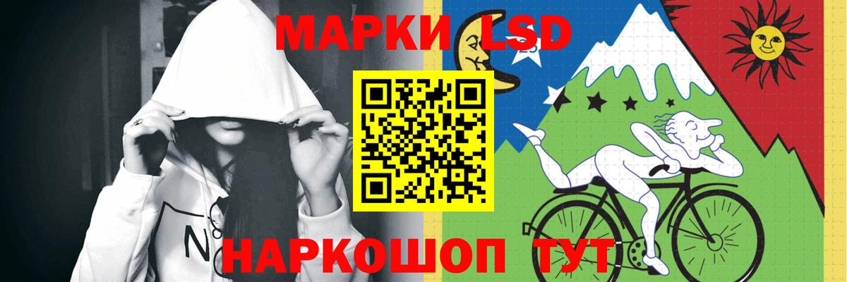 Псилоцибиновые грибы Черняховск