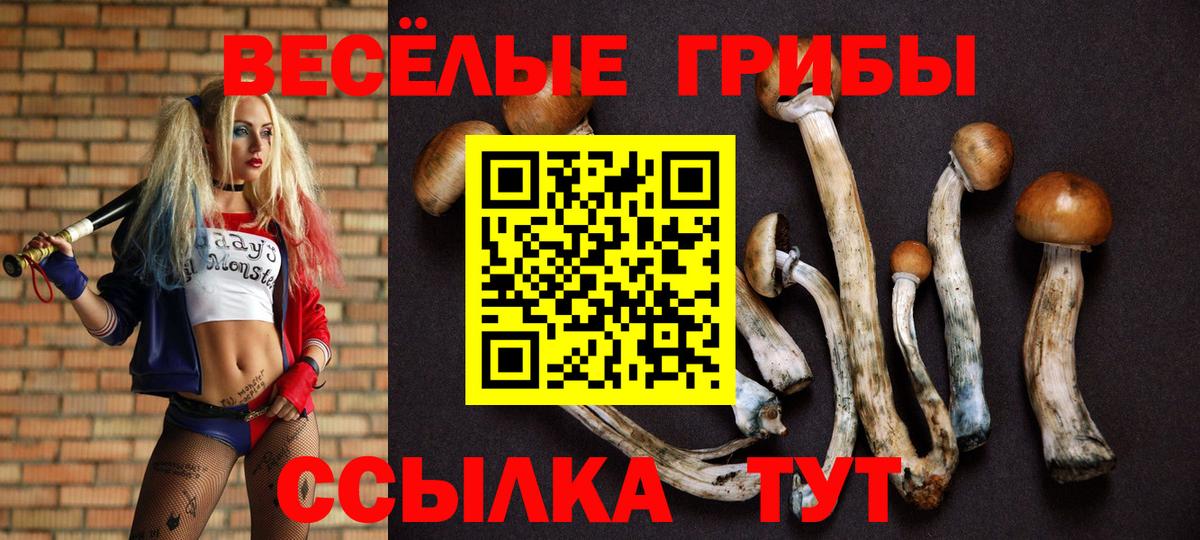 Псилоцибиновые грибы Cubensis  Вход с VPN  Черняховск 