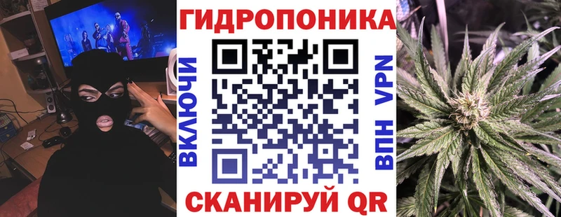 Конопля Bruce Banner  где можно купить   Черняховск 